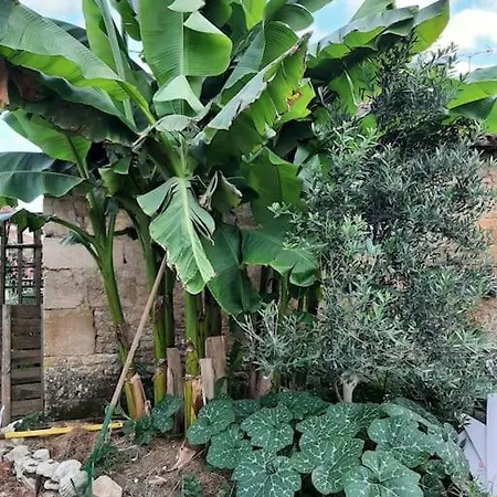 Le Fournil De Payre Villa Exterior photo
